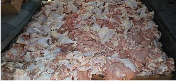ضبط 200 كيلو أجنحة دجاج فاسدة في جنين
